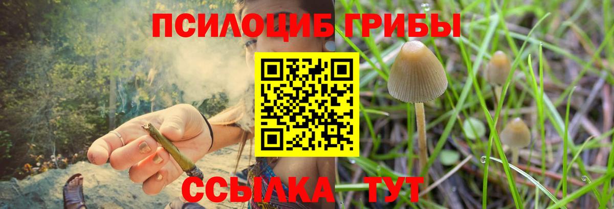 закладка  Вход с VPN  Новочебоксарск  Псилоцибиновые грибы прущие грибы 